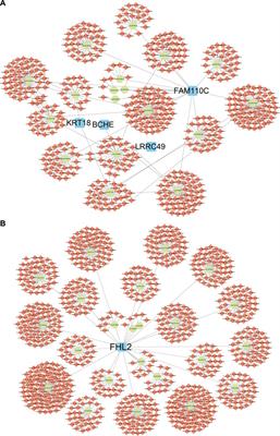 Analysis of infiltrated immune cells in left atriums from patients with atrial fibrillation and identification of circRNA biomarkers for postoperative atrial fibrillation